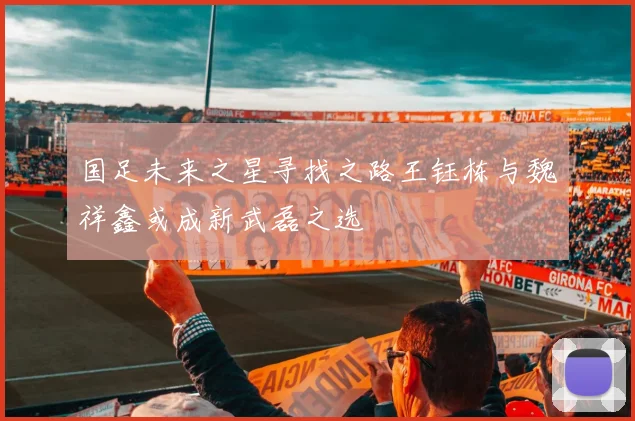 国足未来之星寻找之路王钰栋与魏祥鑫或成新武磊之选
